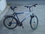 Imagine atasata: bicicleta.JPG