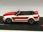 Imagine atasata: mustang_4.JPG