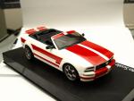 Imagine atasata: mustang_5.JPG
