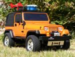 Imagine atasata: jeep5.jpg