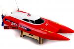Imagine atasata: RC_Brushless_Motor_Catamaran_Boat_Sea_Rider.jpg