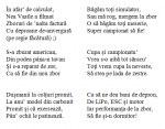 Imagine atasata: poem.png
