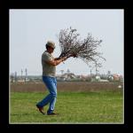 Imagine atasata: IMG_7169.JPG