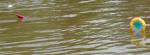 Imagine atasata: Picture_144_copy.jpg