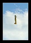 Imagine atasata: edge_costin_08.JPG