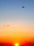 Imagine atasata: IMG_3623.jpg
