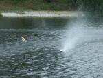 Imagine atasata: TICA BANEASA 27052012 050.JPG