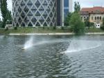 Imagine atasata: TICA BANEASA 27052012 067.JPG