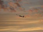 Imagine atasata: IMG_2654.jpg