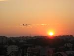 Imagine atasata: IMG_2659.jpg