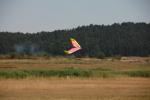 Imagine atasata: IMG_7359_800x533.JPG