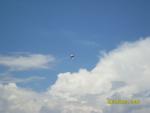 Imagine atasata: SDC14690.JPG