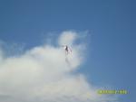 Imagine atasata: SDC14693.JPG