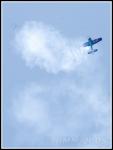 Imagine atasata: IMG_4268_small.jpg