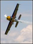 Imagine atasata: IMG_4335_small.jpg