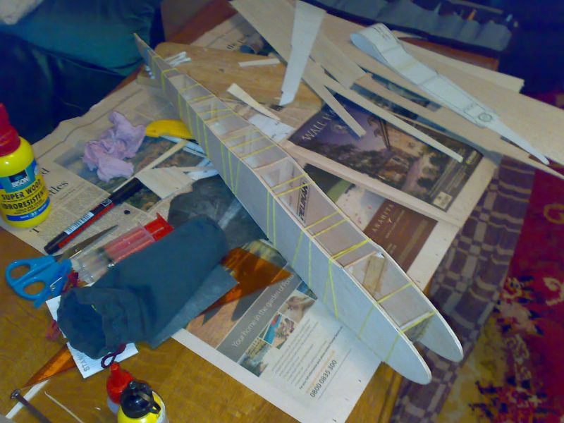 Imagine atasata: 01082009325.jpg