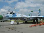 Imagine atasata: su_27.jpg