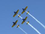 Imagine atasata: Meeting_Aero_SM_057.JPG