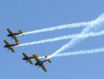 Imagine atasata: Meeting_Aero_SM_095.JPG