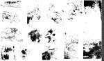 Imagine atasata: Screen shot 2012-10-19 at 1.27.54 PM.png