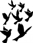 Imagine atasata: Screen shot 2012-10-19 at 3.04.53 PM.png