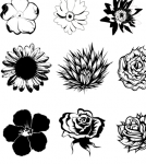 Imagine atasata: Screen shot 2012-10-19 at 1.29.40 PM.png