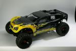 Imagine atasata: proline_20Baja_20Conversion_201.jpg