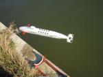 Imagine atasata: IMG_1516.JPG