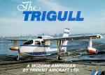 Imagine atasata: trigull.jpg