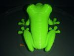 Imagine atasata: TREE FROG 3D PRINTED 3.jpg