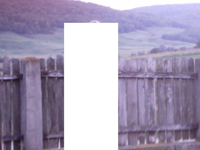 Imagine atasata: post-14-1140026937.jpg