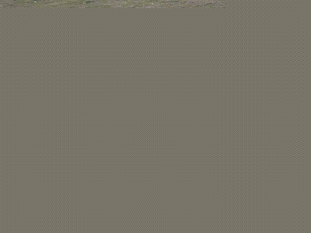 Imagine atasata: post-23-1177965285.jpg