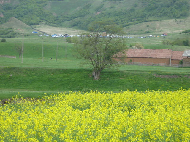 Imagine atasata: post-23-1209983602.jpg