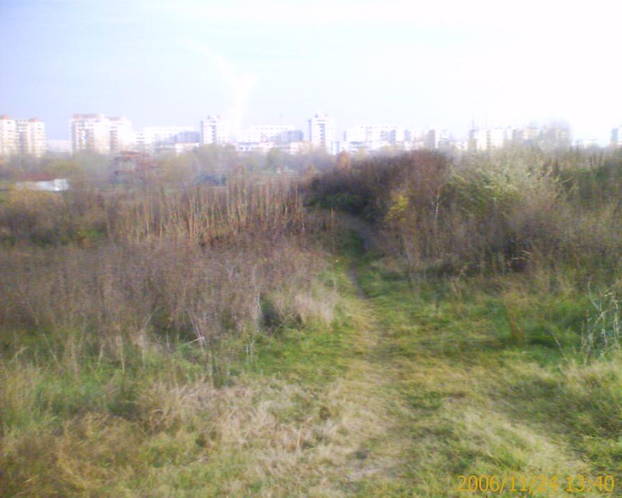 Imagine atasata: post-3-1164385243.jpg