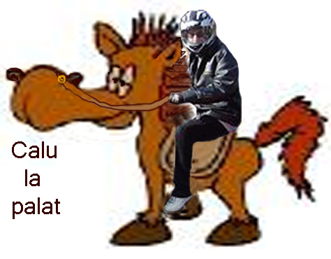 Imagine atasata: post-3-1171744589.jpg