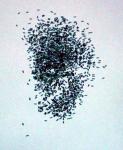 Imagine atasata: IM013687.jpg