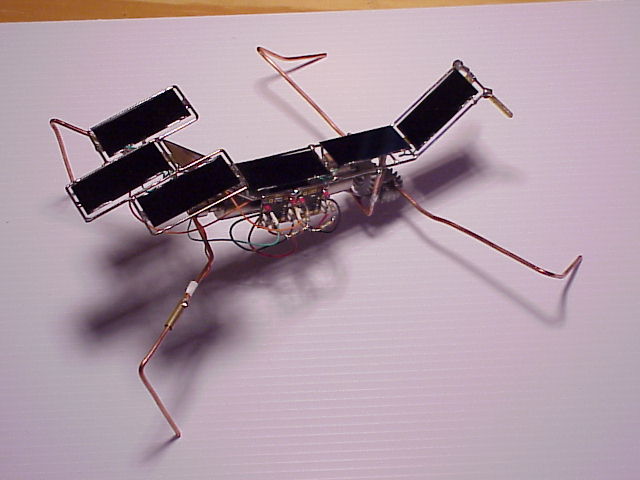 Imagine atasata: post-8-1090694784.jpg