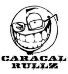 Caracal's Photo